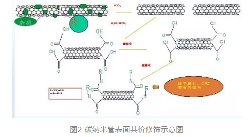 提供碳纳米管的功能化修饰（功能性基团、蛋白、多肽、多糖）