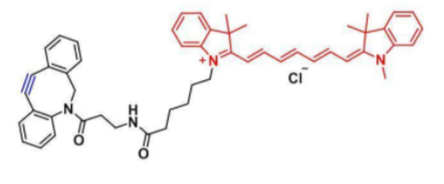 前体药物改性修饰prodrug业务介绍-西安齐岳生物科技有限公司