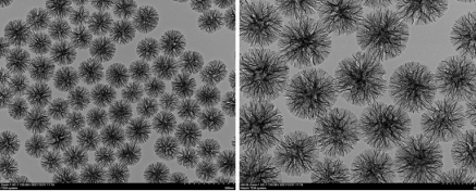 树枝状介孔二氧化硅  Dendritic Mesoporous Silica Microspheres