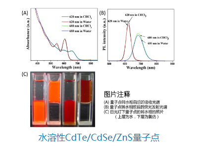 水溶性CdTe/CdSe/ZnS量子点，表面由亲水配体包裹的核/壳/壳型荧光纳米材料