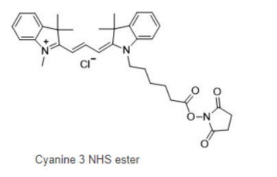 Cyanine3 NHS ester