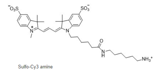 Sulfo-Cy3 amine