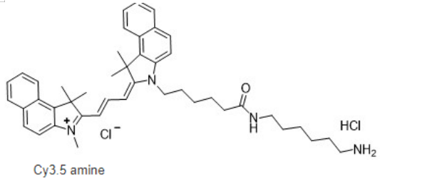 Cy3.5-amine