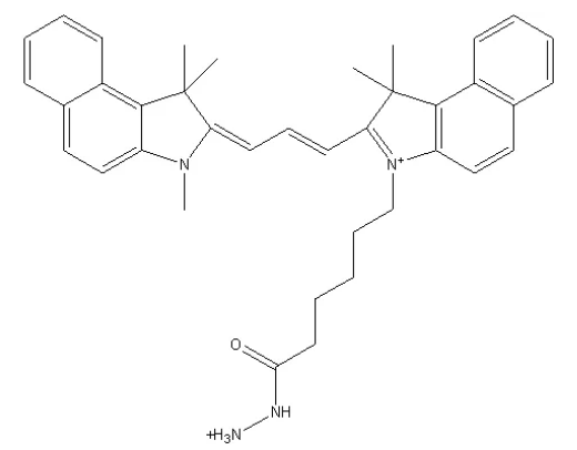 Cy3.5-hydrazide