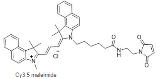 Cy3.5-maleimide