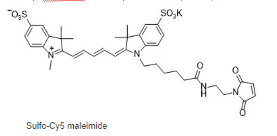 Sulfo-Cy5 MAL
