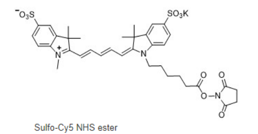 Sulfo-Cyanine5 NHS ester 