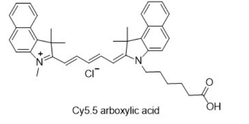 Cy5.5 carboxylic acid