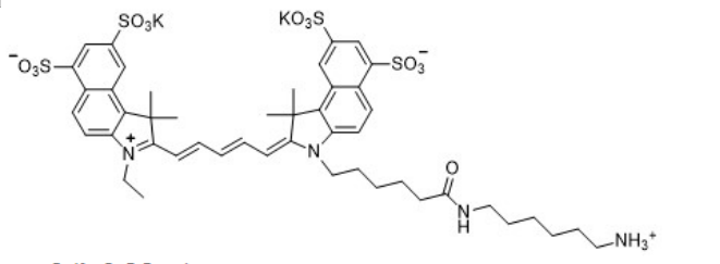 Sulfo-Cy5.5 amine