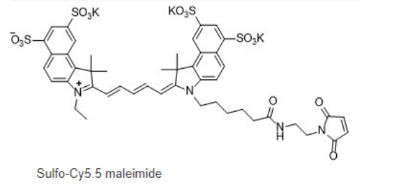 Sulfo-Cy5.5 maleimide