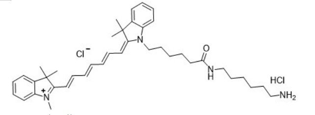 Cy7-amine