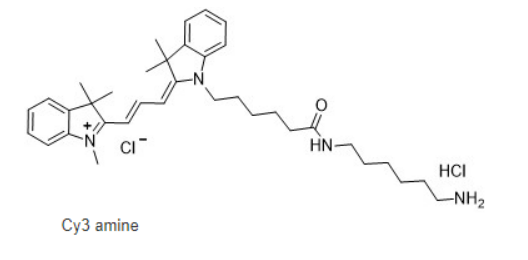 Cyanine3 amine