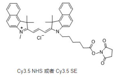 Cy3.5-NHS ester