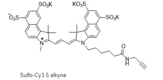 Sulfo-Cy3.5 alkyne