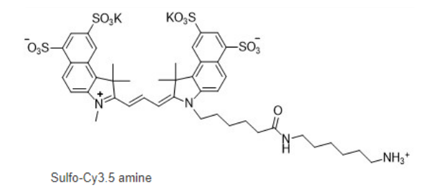 Sulfo-Cy3.5 amine