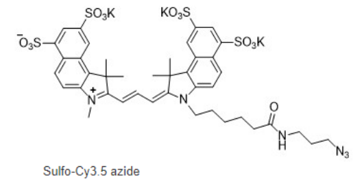 Sulfo-Cy3.5 azide