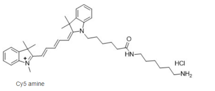 Cy5-amine