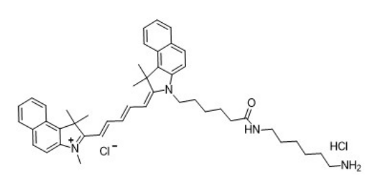 Cy5.5-NH2