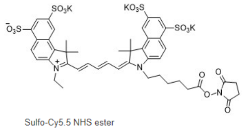 Sulfo-Cyanine5.5 NHS ester