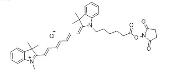 Cy7-NHS ester