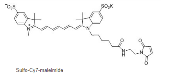 Sulfo-Cy7 maleimide