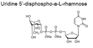 UDP-L-Rha