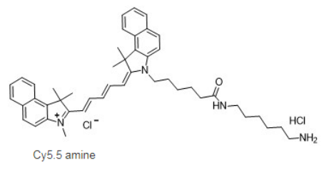 CY5.5 NH2