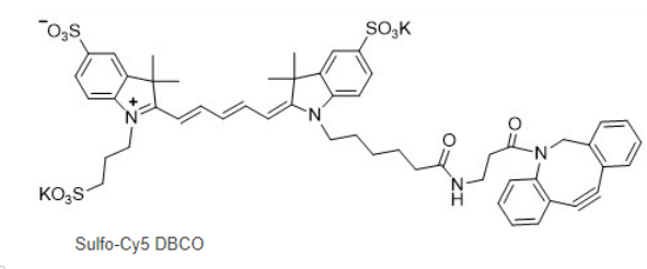 水溶-DBCO CY5