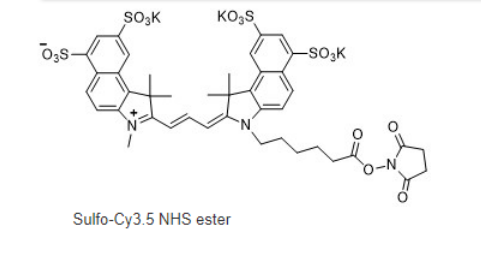 Sulfo cy3.5 NHS ester