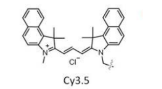 cy3.5单体