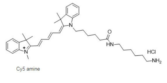 cy5-amine