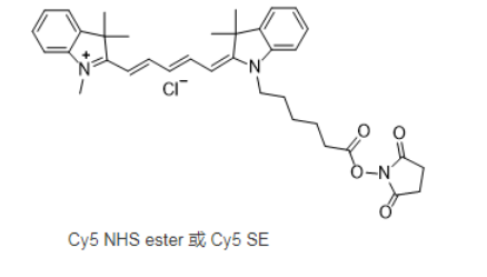 Cy5 NHS ester