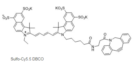 Cy5.5 DBCO