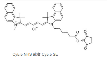 Cy5.5 NHS ester