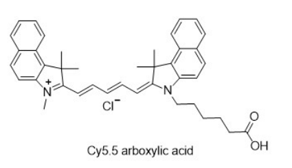 CY5.5-COOH