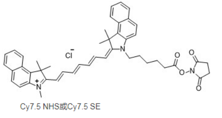 Cy7.5 NHS ester