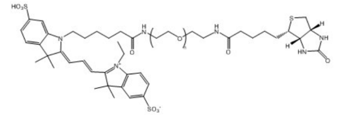 CY3-PEG2000-biotin