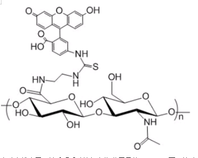 透明质酸酯-荧光素