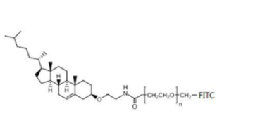 胆固醇-PEG-FITC