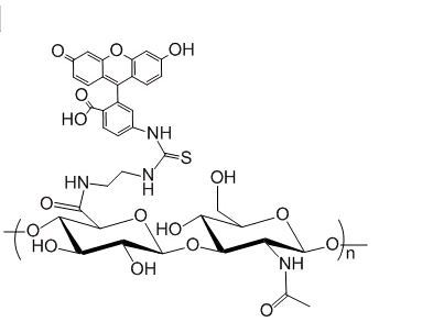 FITC-透明质酸