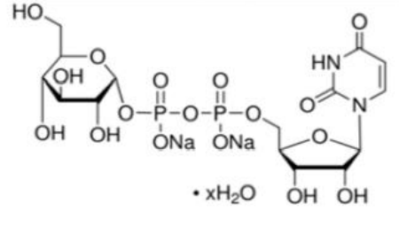UDP-葡萄糖