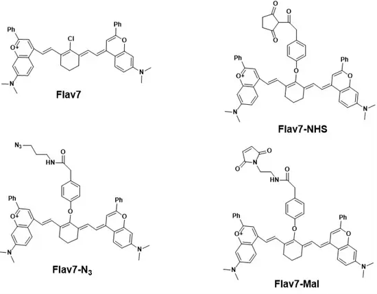 Flav7,发射1026 nm,水溶性酯溶性近红外二区染料