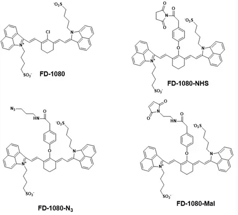 FD-1080 NHS ester,FD-1080-NHS,FD-1080 琥珀酰亚胺酯 近红外二区染料